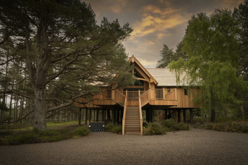 The Treehouse